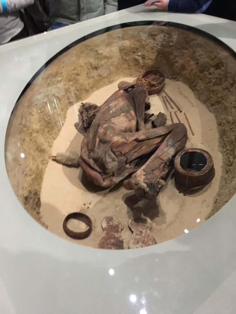 Momia en posición fetal Museo Egipcio de Turín Momia en posición fetal (Foto: Sofia Muñoz)