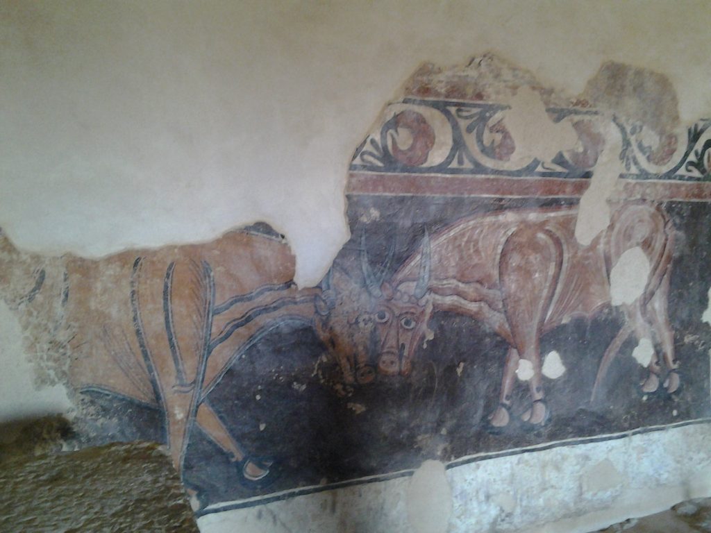 Toros Morcados (Ermita San Baudelio de Berlanga) Foto Sofía Muñoz