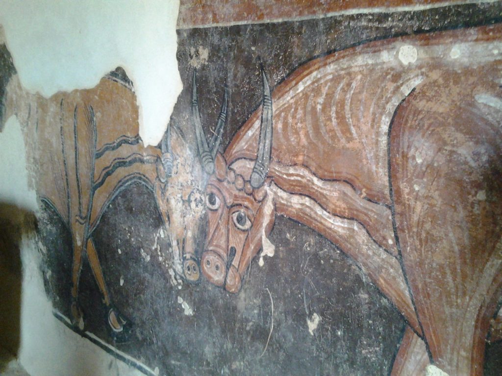 Toros Morcados (Ermita San Baudelio de Berlanga) Foto Sofía Muñoz