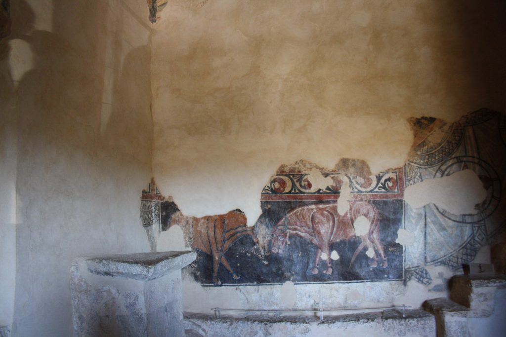 Toros Morcados (Ermita San Baudelio de Berlanga) Foto Sofía Muñoz