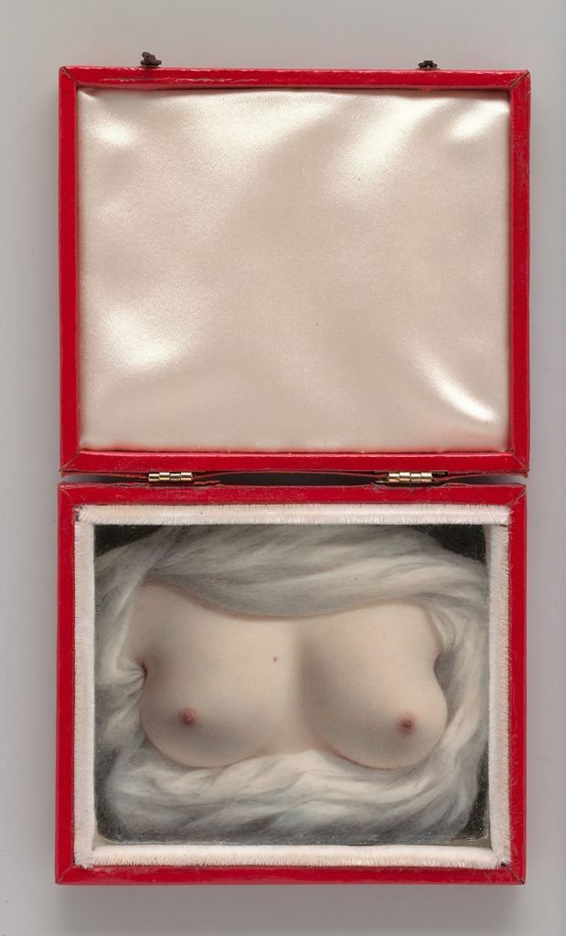 Belleza Revelada (Museo Metropolitano de Nueva York, 1828) de Sarah Goodridge