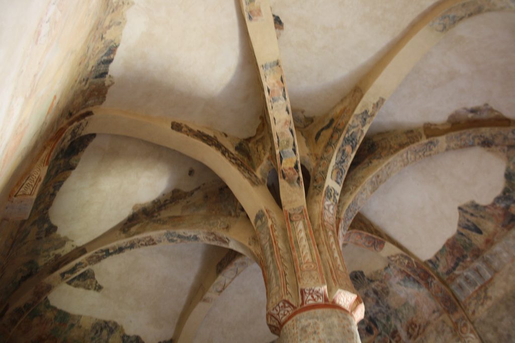 Palmera de San Baudelio de Berlanga (Foto: Sofia Muñoz)